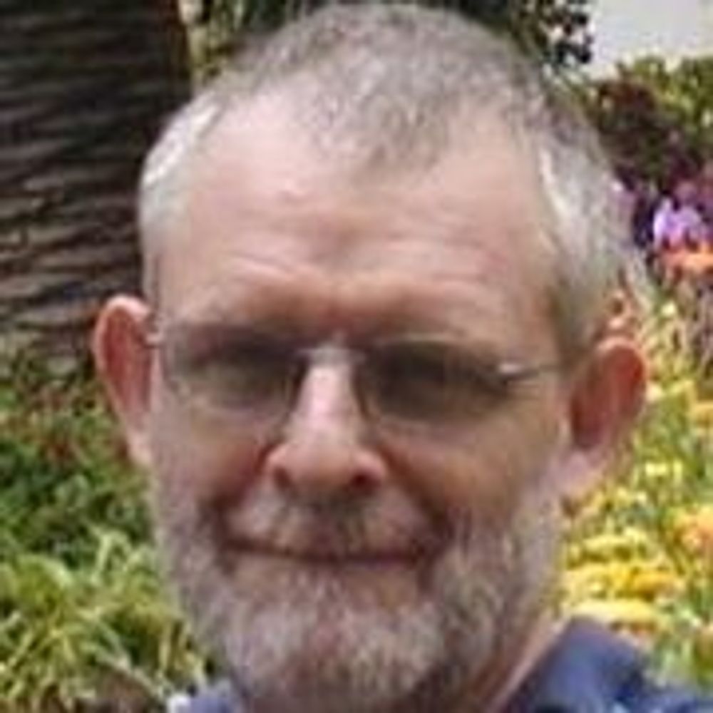 David Hayes