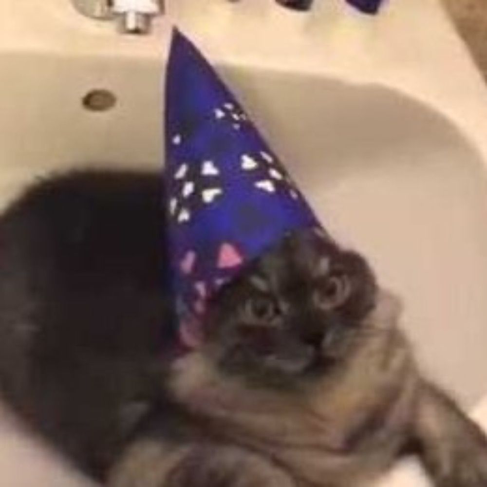 kittymagician