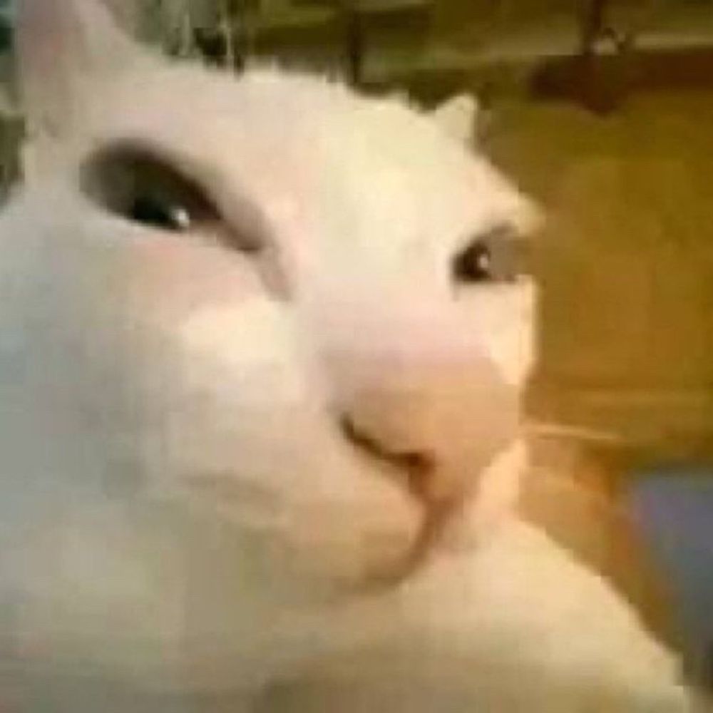 :3