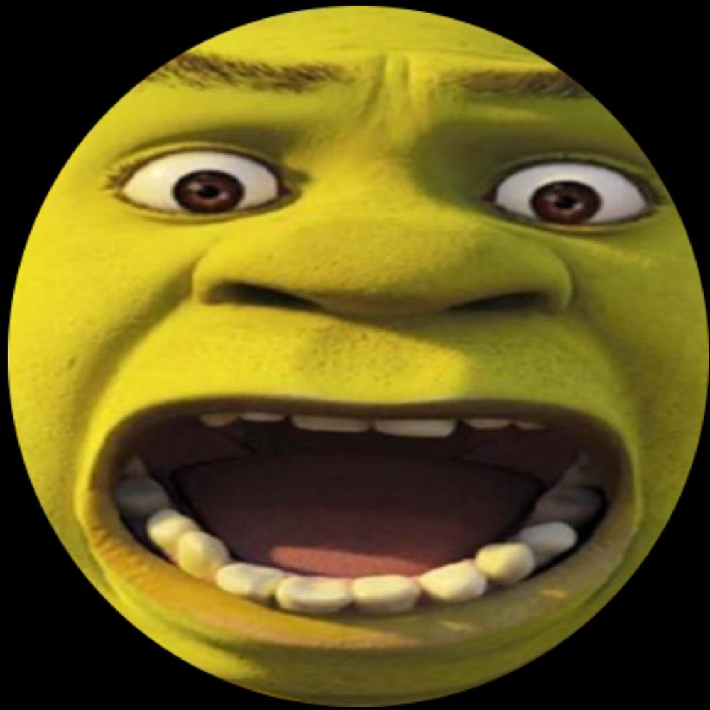Meme City