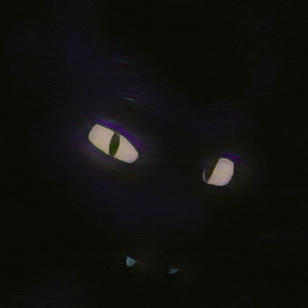 darkbluefluffer