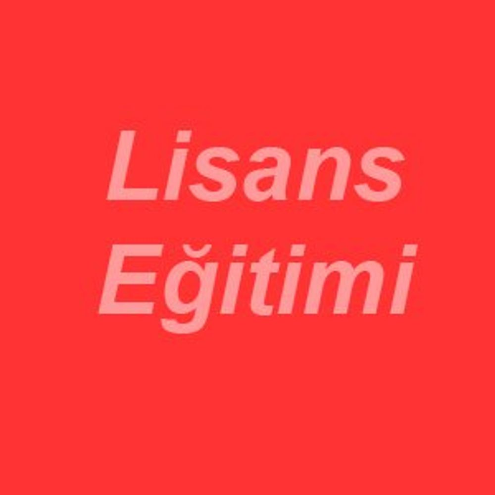 Lisans Eğitimi