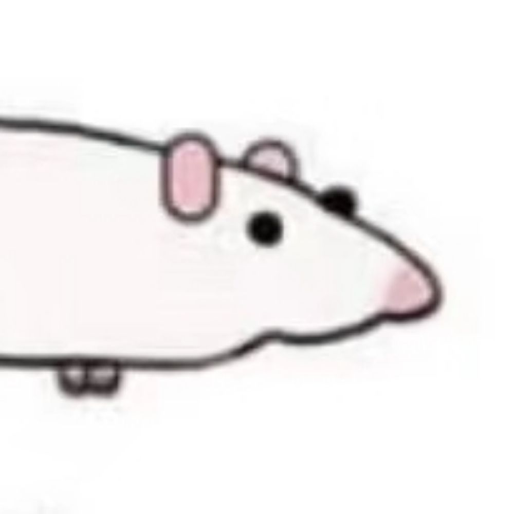 basic rat