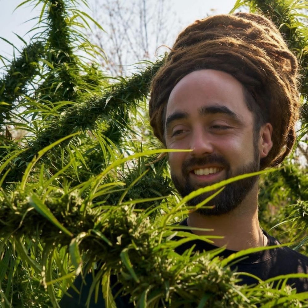 STRAIN HUNTERS