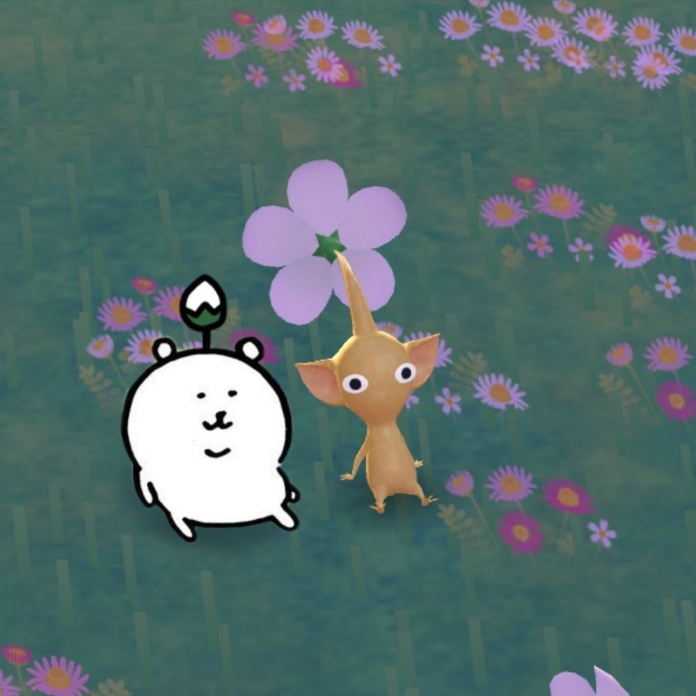쏴미