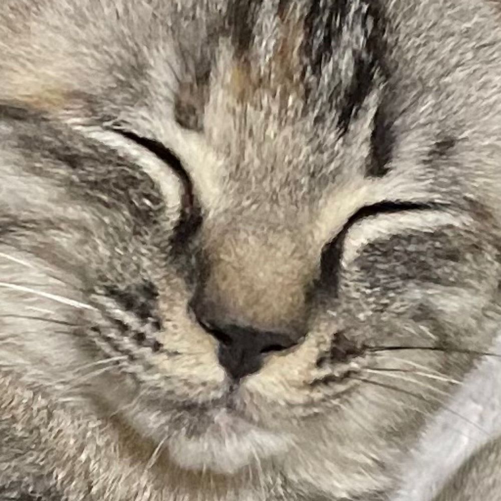 MY