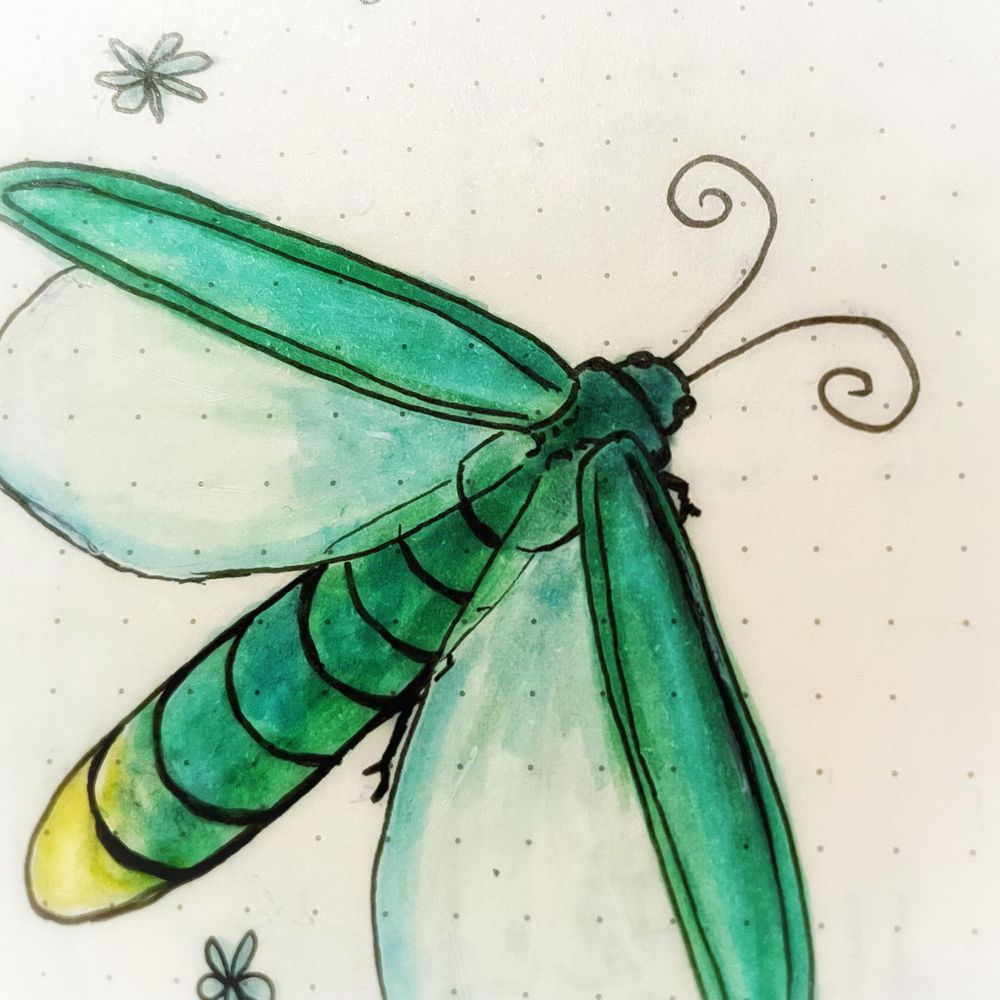 🪲🍀 Bug 🍀🪲