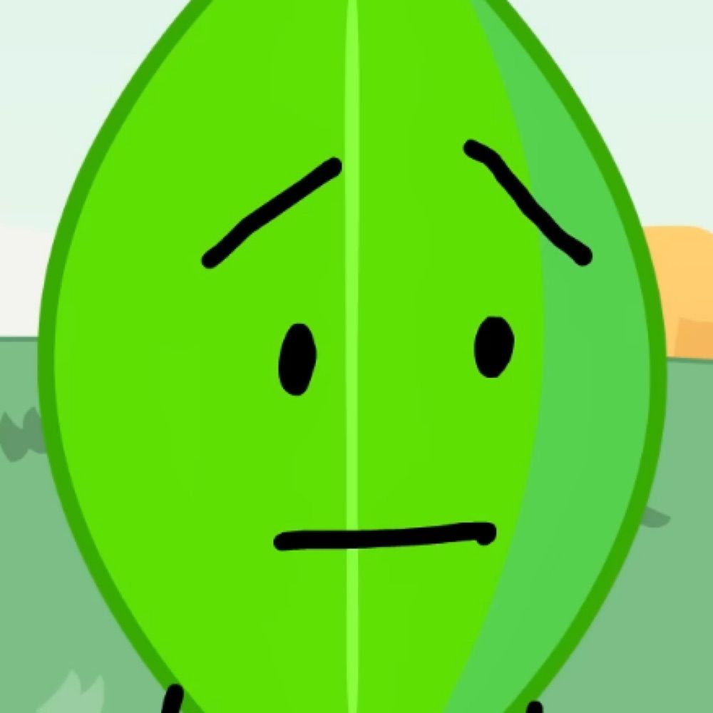 good bfdi faces