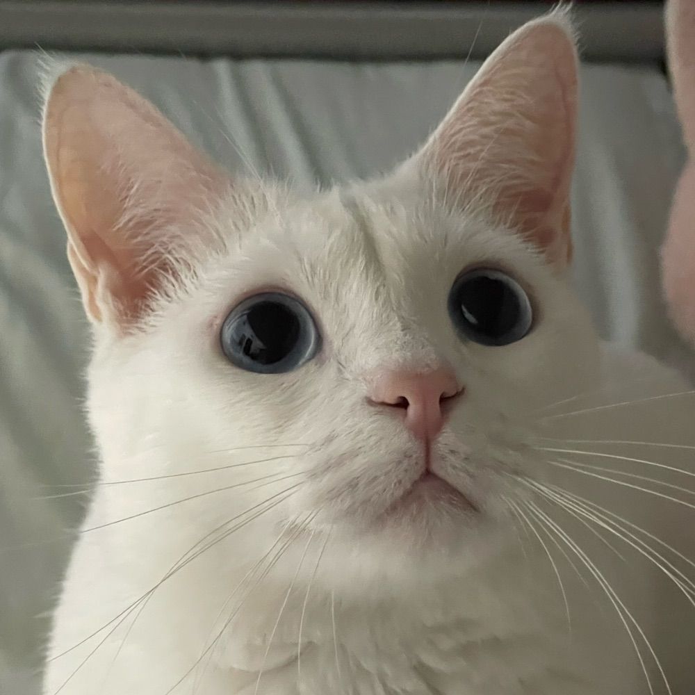 林