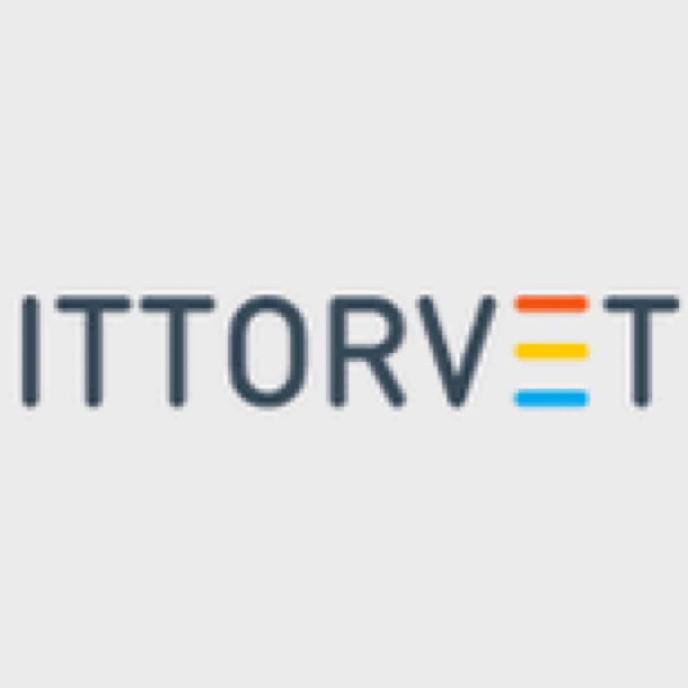 IT Torvet