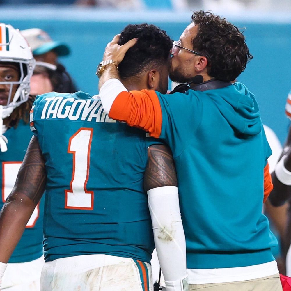 Sad Dolphins Fan
