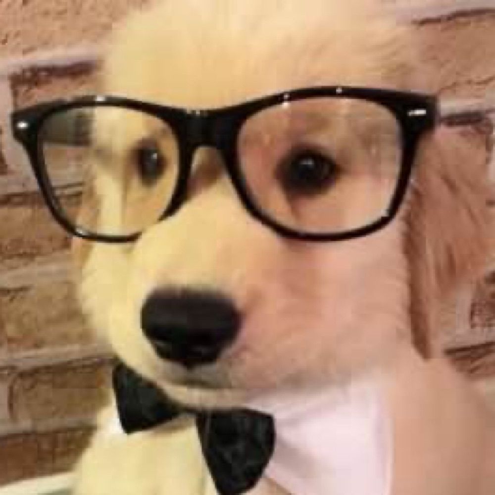 Doggo