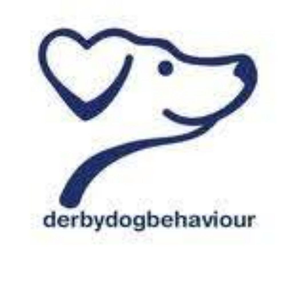 Derby Dog Behaviour