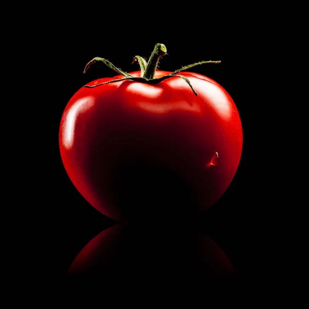 とまとま🍅🧸