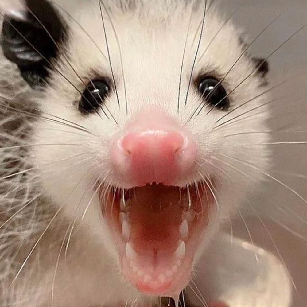 8213