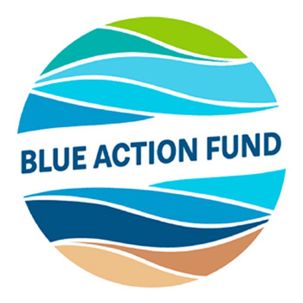 Blue Action Fund's avatar