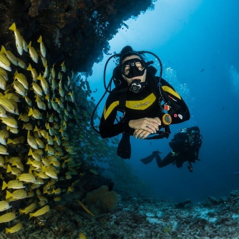 Scuba Diving