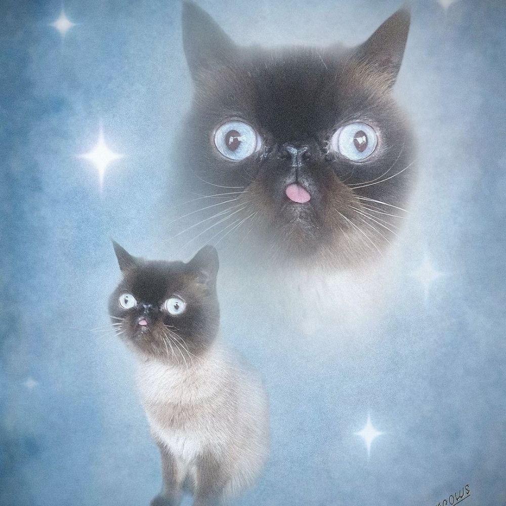Kittie96