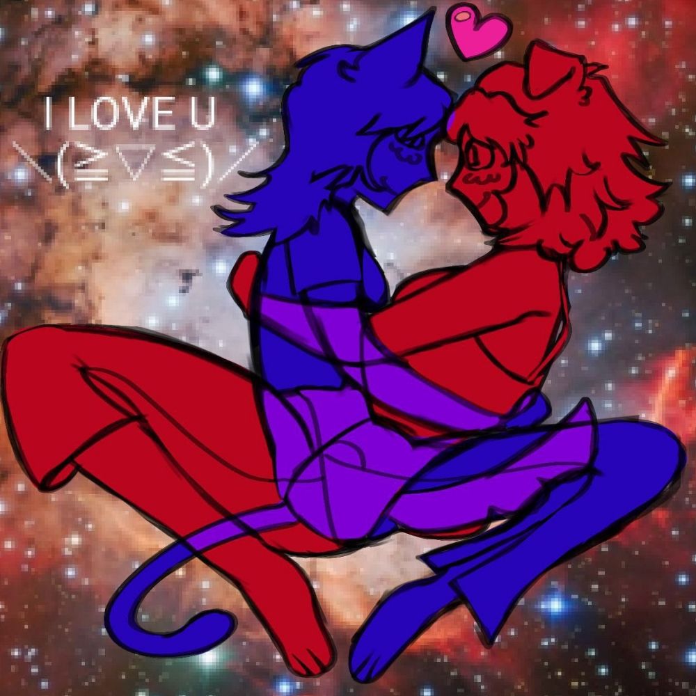 SHURA U・ᴥ・U