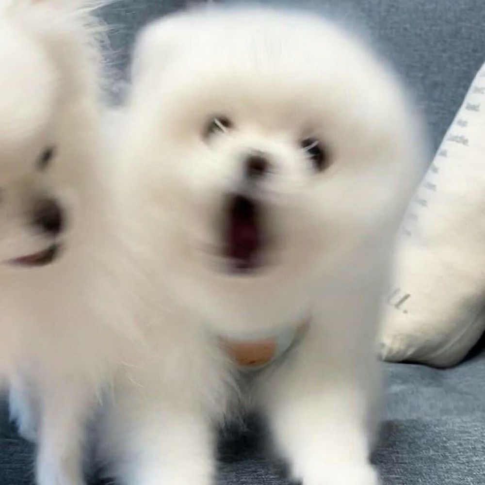 来世は幸せになってね