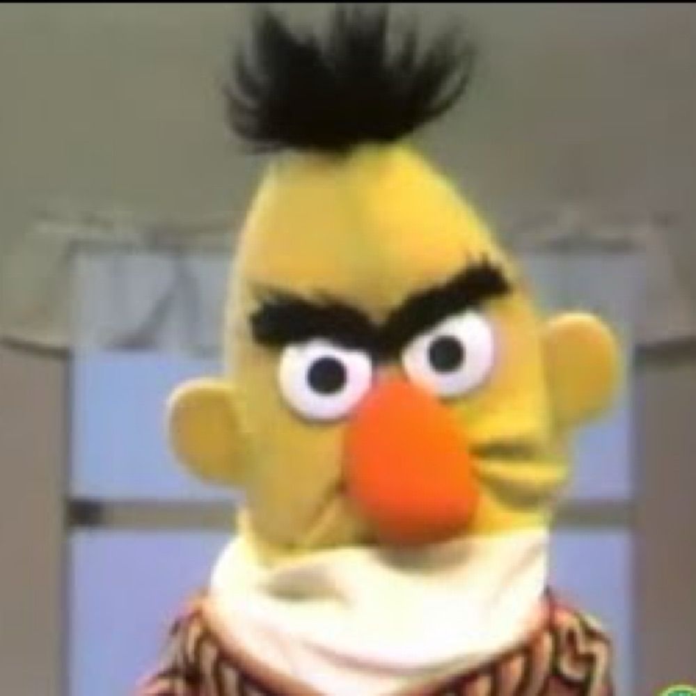 Big Bad Bert