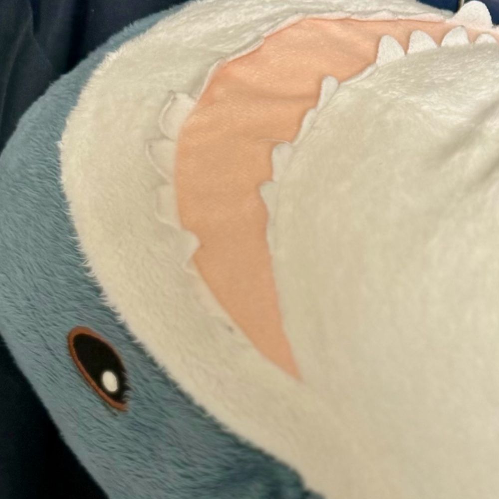 まこはる