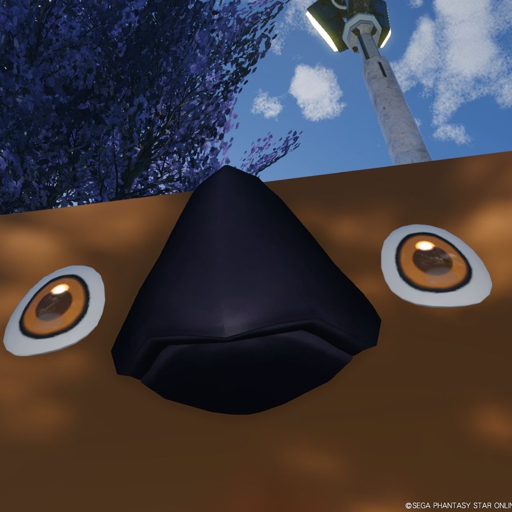 Nzir_0