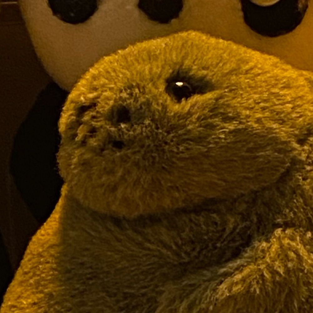 Ɲσ