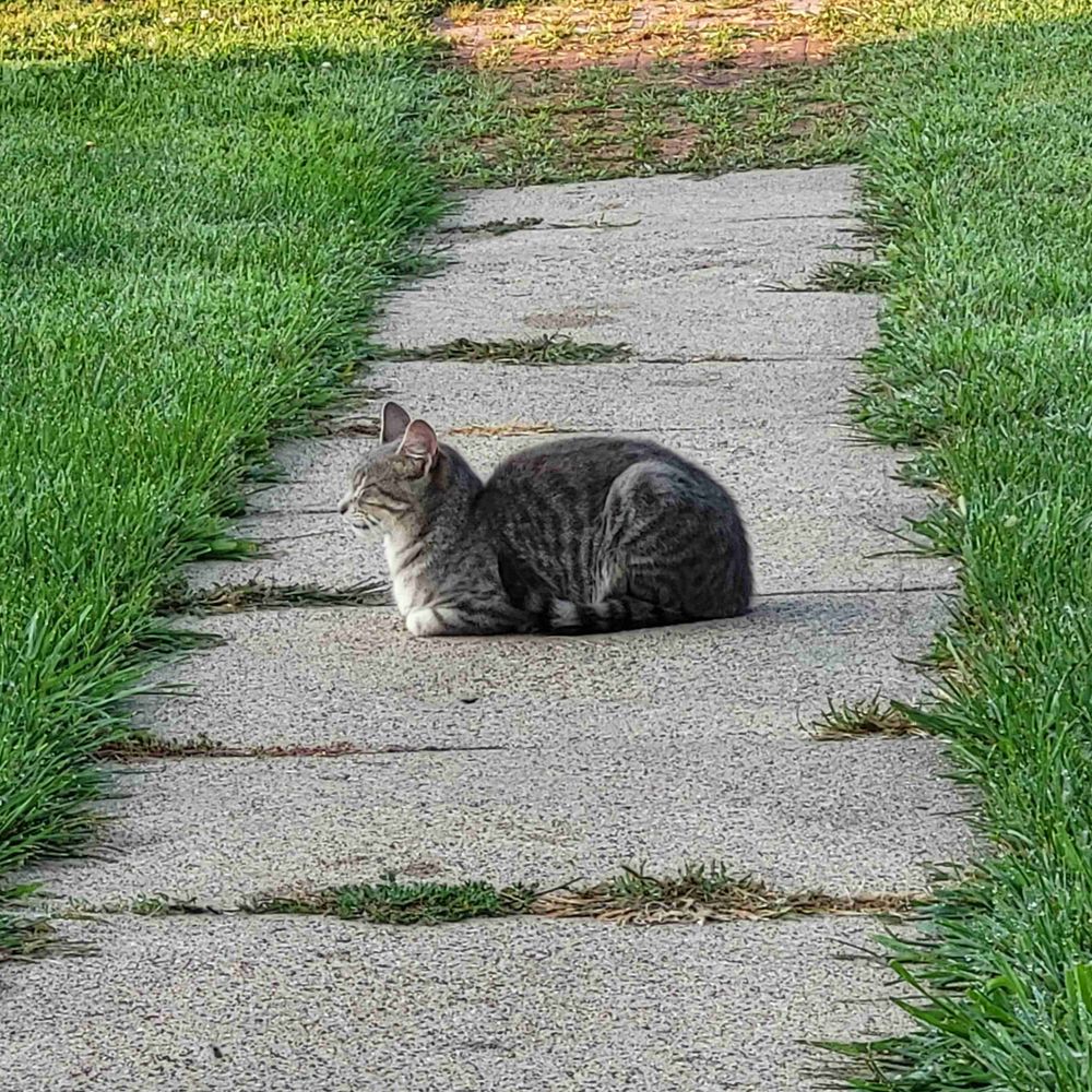 you