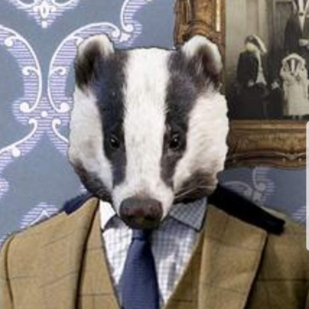 The badger