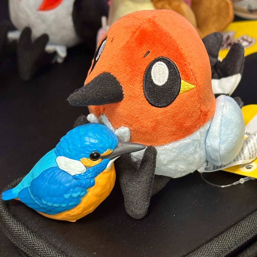 タカナシ🦜