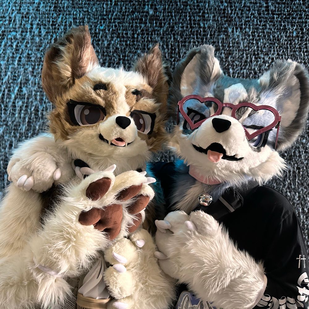 Foxxers