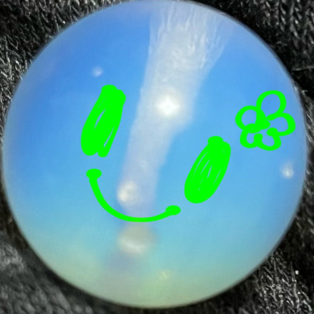 廃棄のカビ子