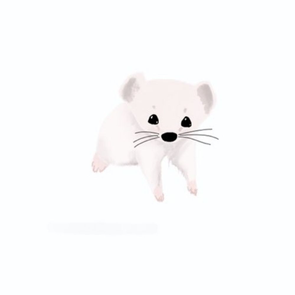 노푸르릉