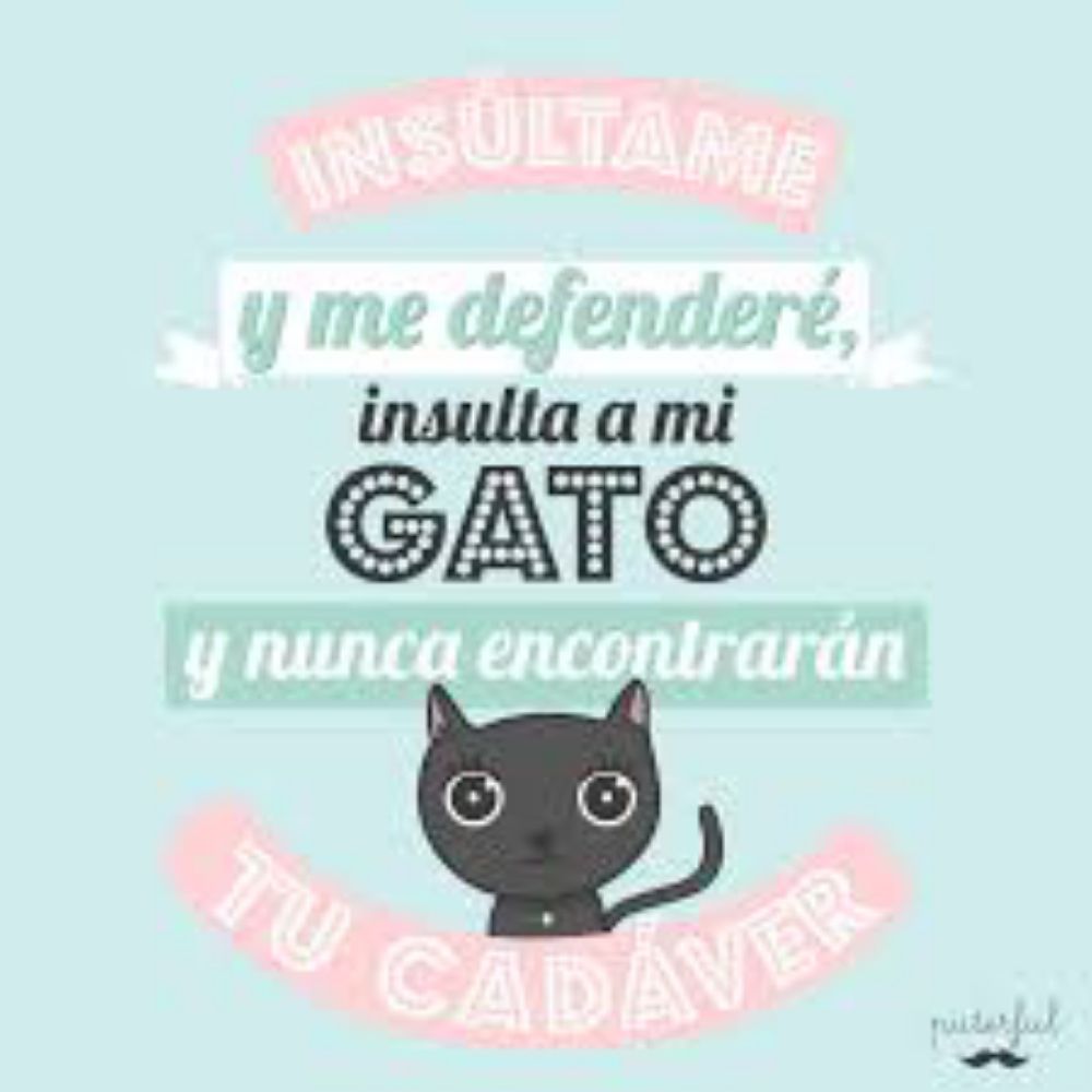 Chamame_x