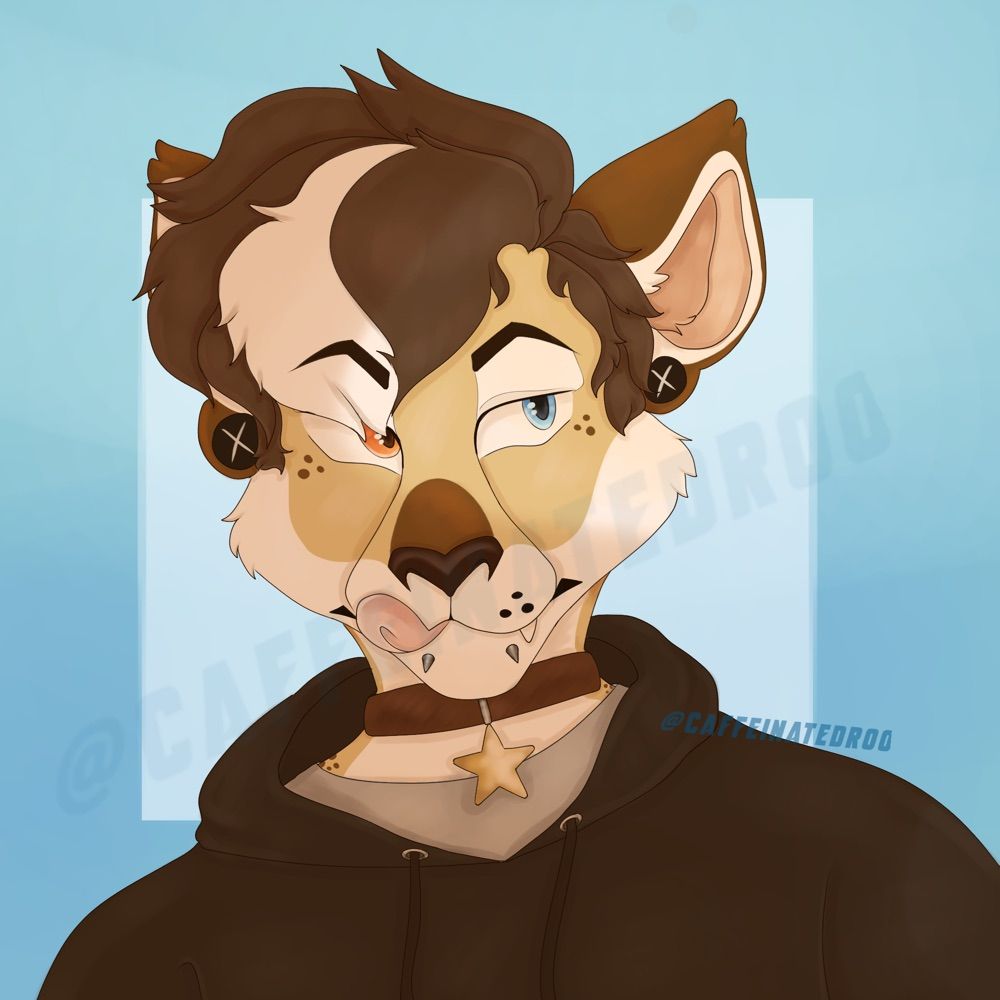 Caffeinated Roo