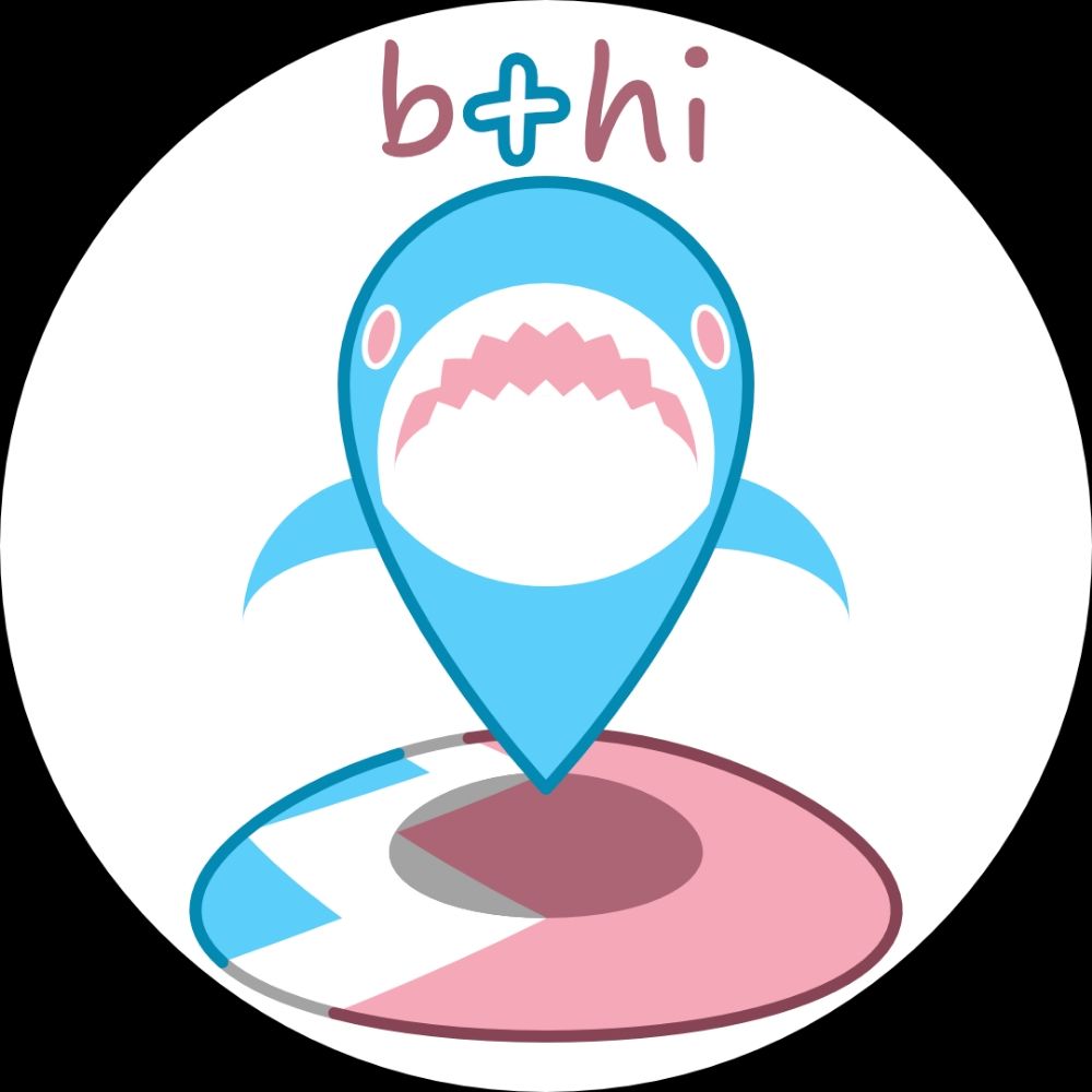 Brum Trans Health Info