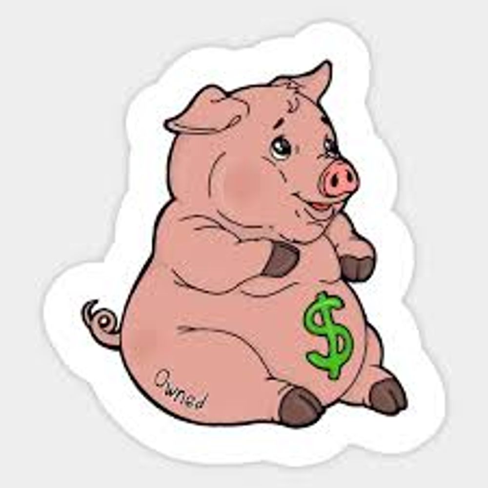 Paypig