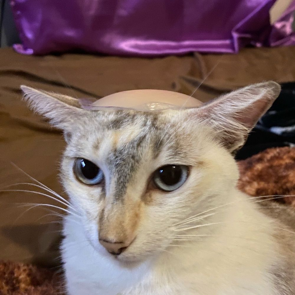 mel