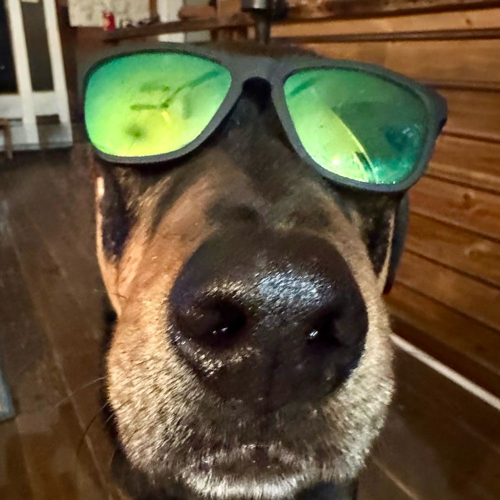 Jake Elwood