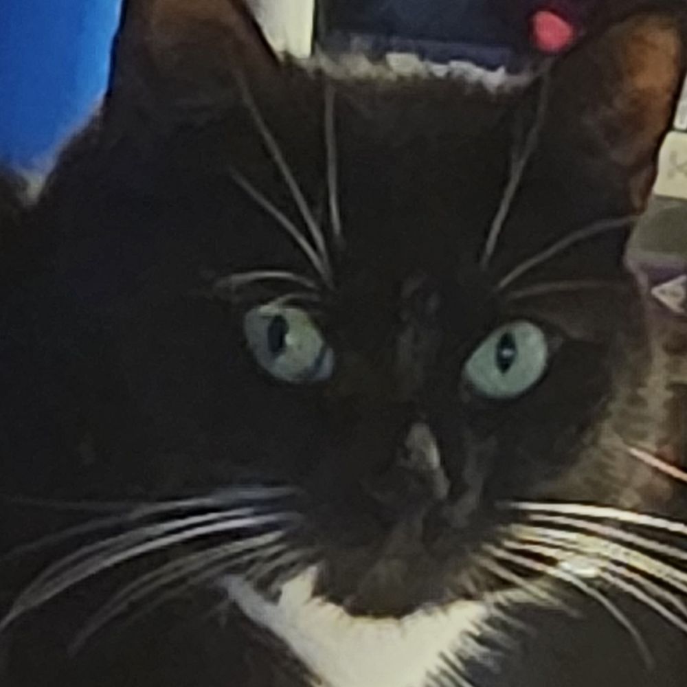 Tuna