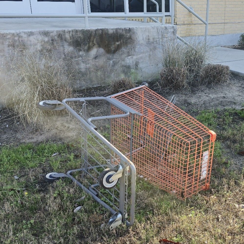 Stray Shopping Carts of New Orleans