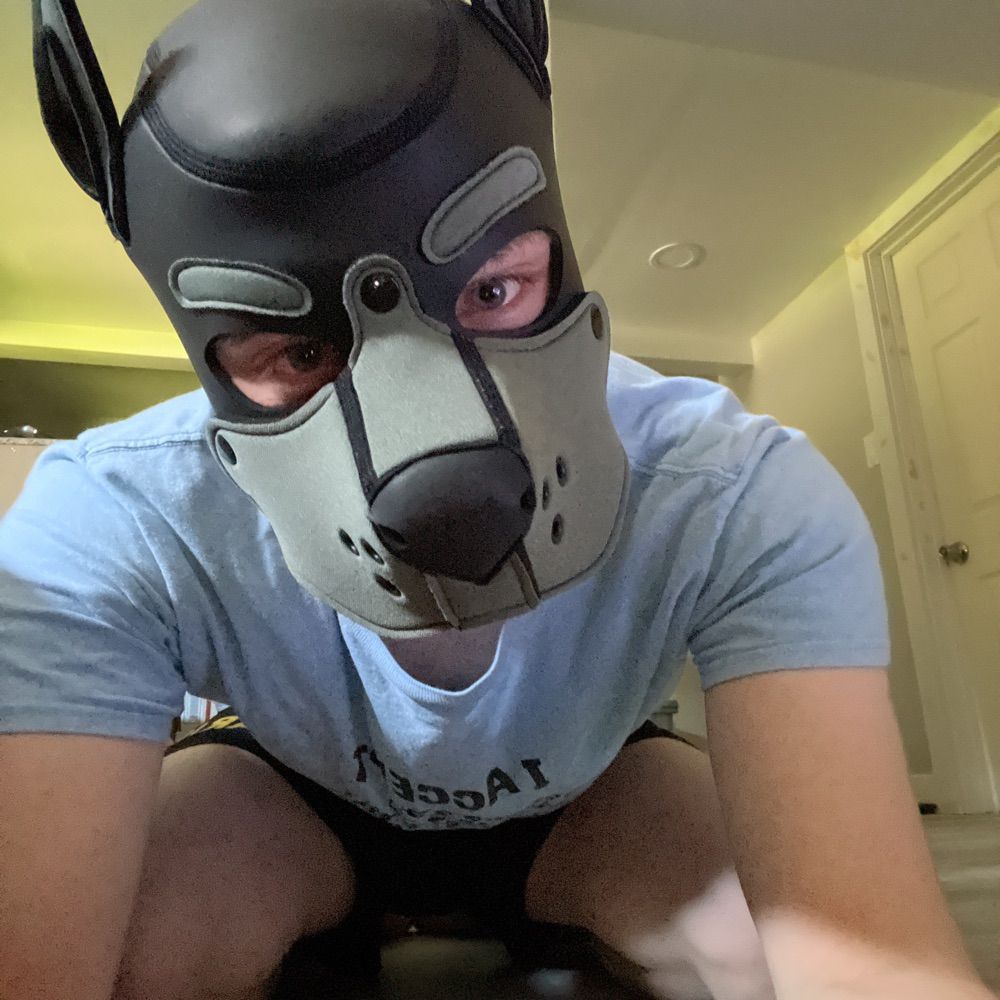 Pup Fenris