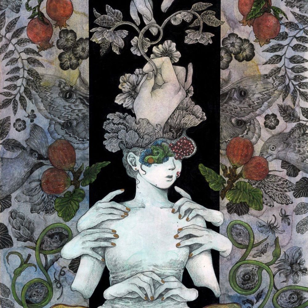 𝑎 𝑖 𝑟 𝑖   𝑚 𝑎 𝑒 𝑦 𝑎 𝑚 𝑎