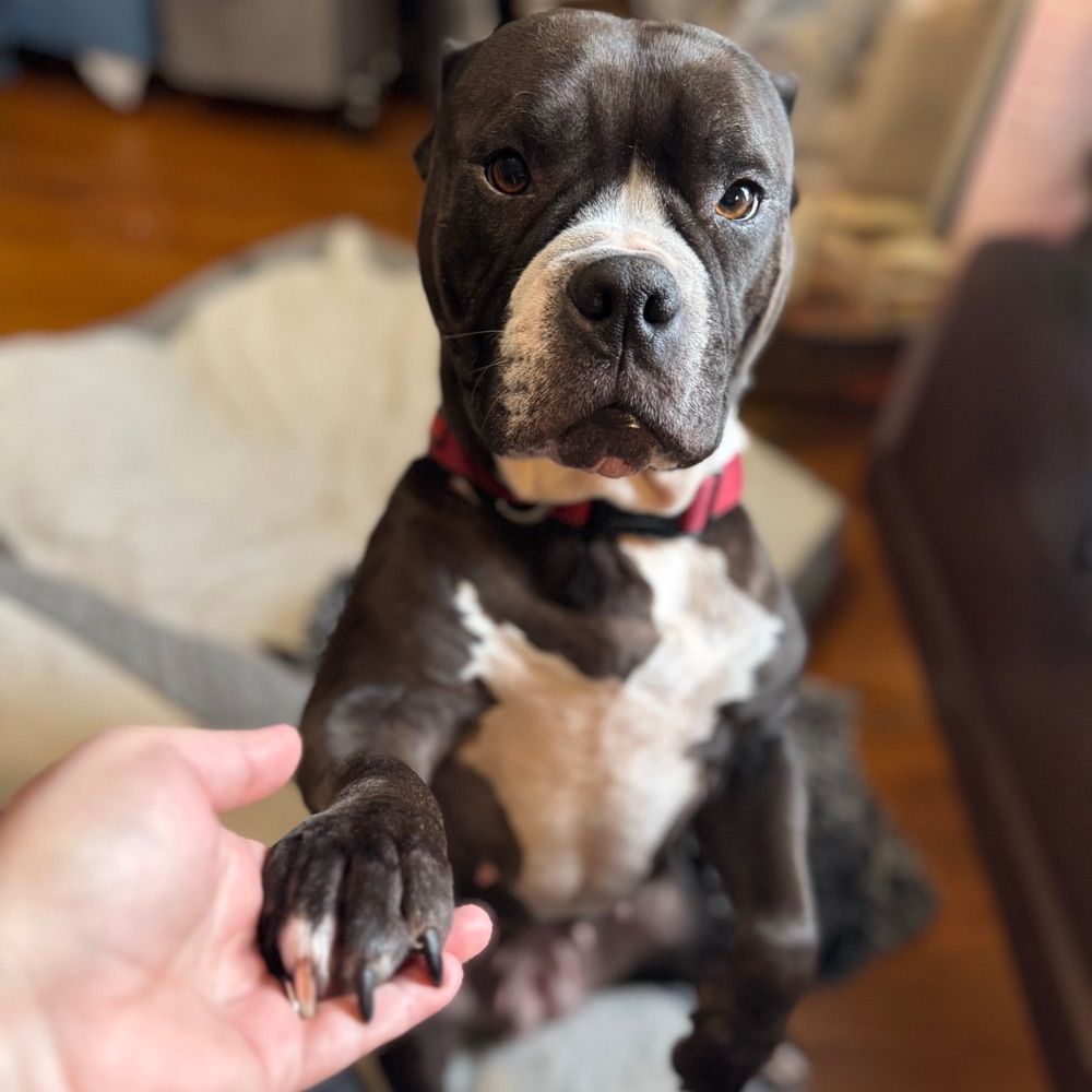 Amy