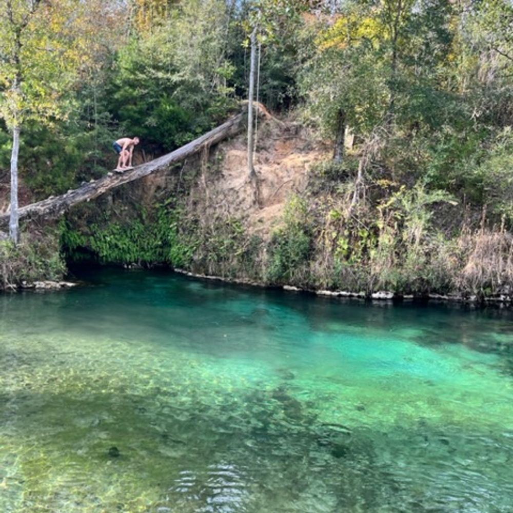 State of the Springs