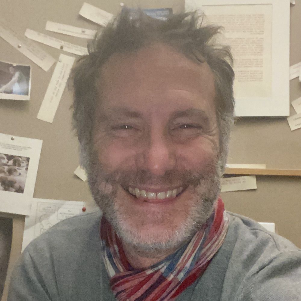 Alain Verheulpen