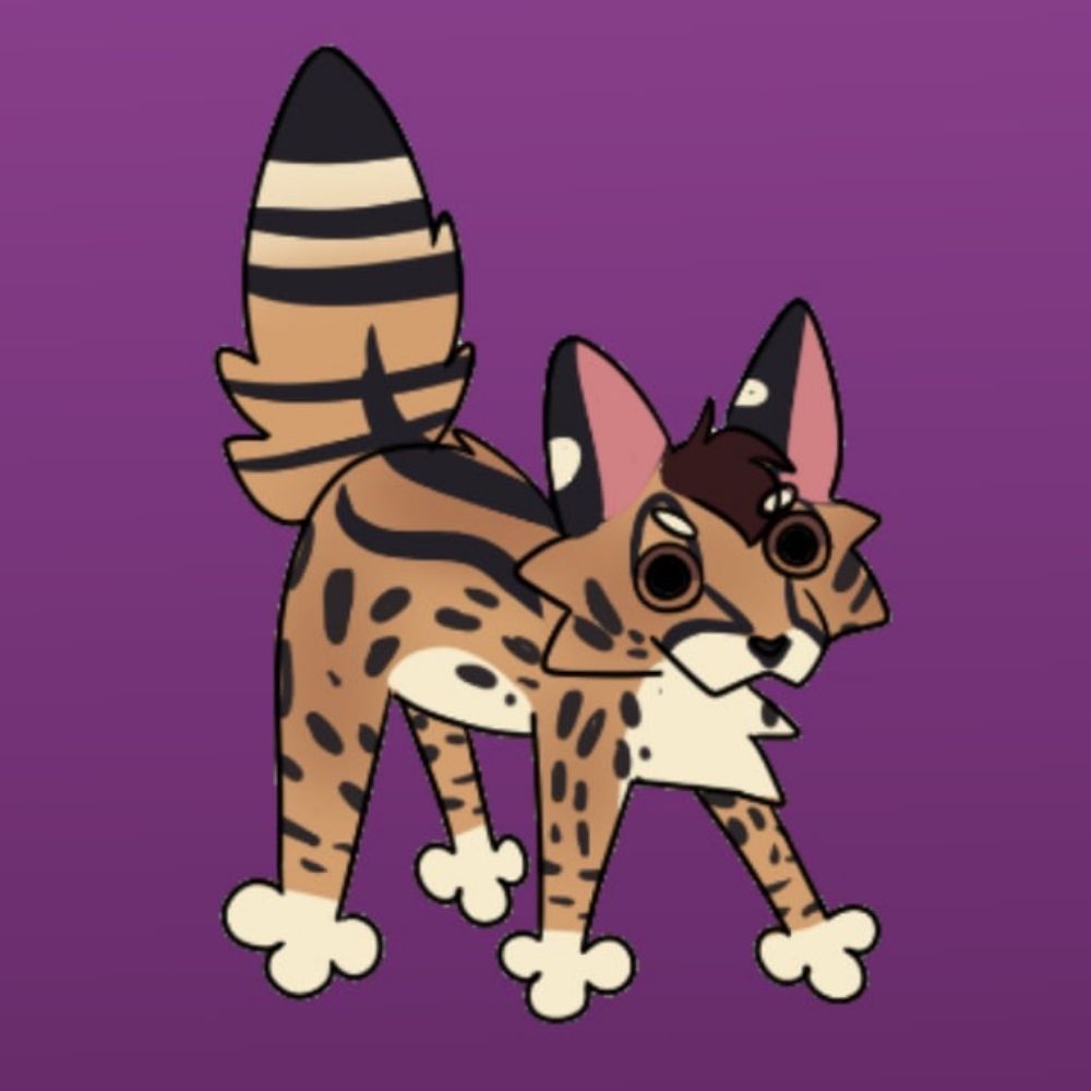 Vander