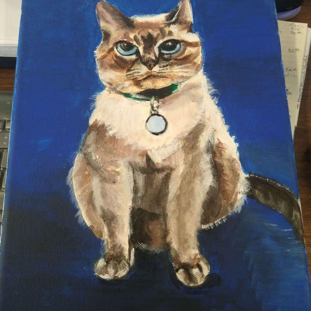 Caitlin