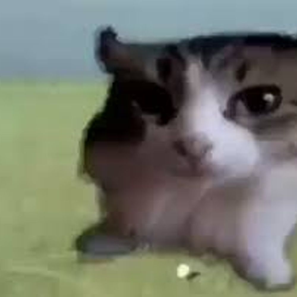 WilloWisp